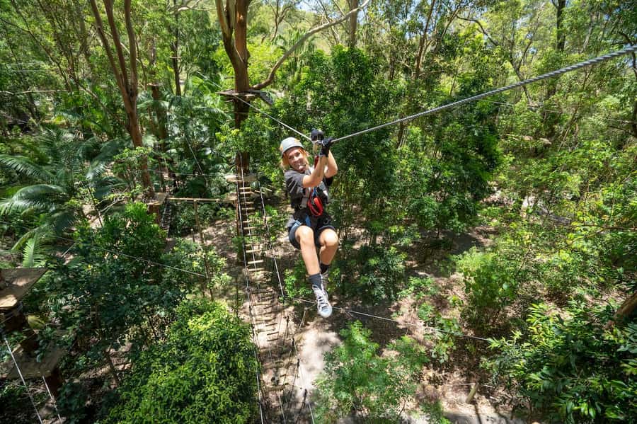 Currumbin Wildlife Sanctuary & TreeTop Challenge Combo - Morning flow: Wildlife Sanctuary first, then the canopy
