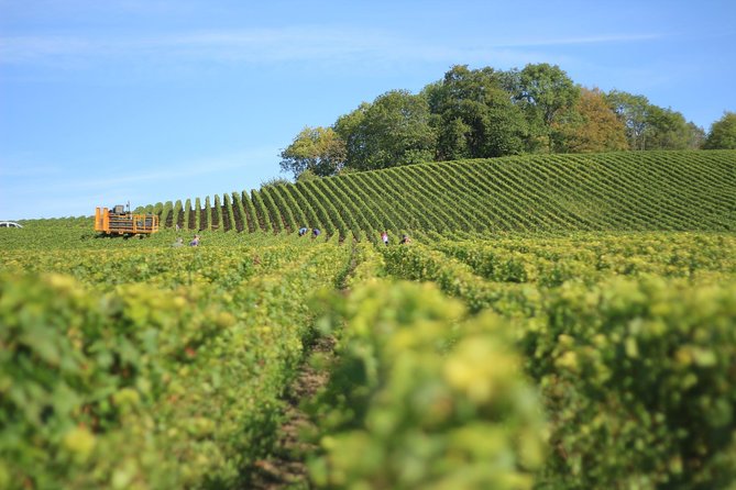 Customized private winery day tour in Yarra Valley at your own choices - Custom Itinerary That Actually Feels Private