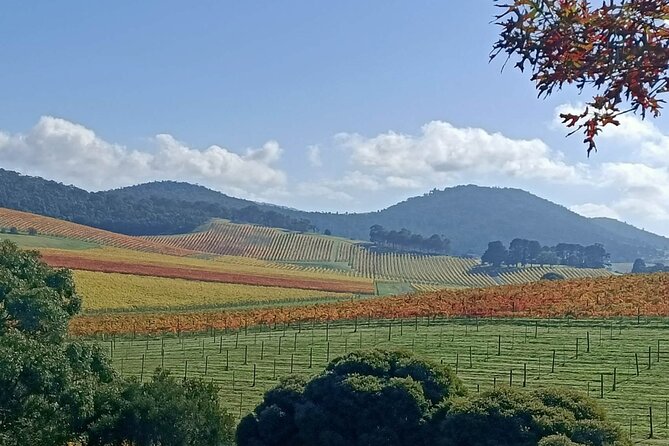 Customized private winery day tour in Yarra Valley at your own choices - Tastings, lunch breaks, and photo-friendly stops