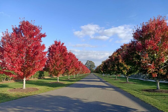 Customized private winery day tour in Yarra Valley at your own choices - The 8-hour rhythm: pickup, winery hopping, then back to Melbourne