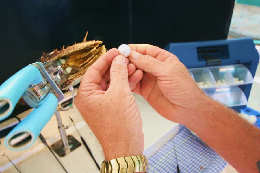 Cygnet Bay Pearl Farm Behind-the-Scenes Tour & Live Harvest - Pearling at Cygnet Bay: What Makes This Farm Different