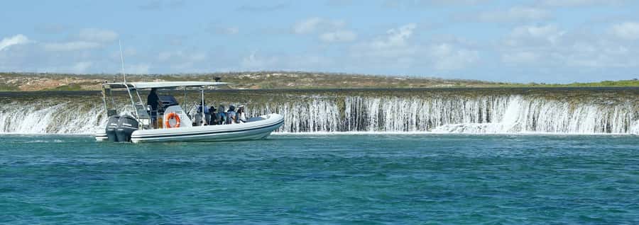 Cygnet Bay Unique Tidal Waterfall Reefs Scenic Cruise - Price and value: is $184 per person worth it