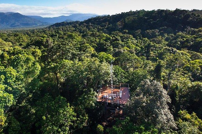 Daintree Discovery Centre Family Pass Ticket - Daintree Discovery Centre: what it is and why it’s worth your time
