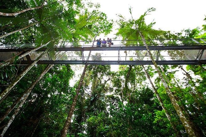 Daintree Discovery Centre Family Pass Ticket - Interpretive Display Centre: learning without feeling trapped indoors