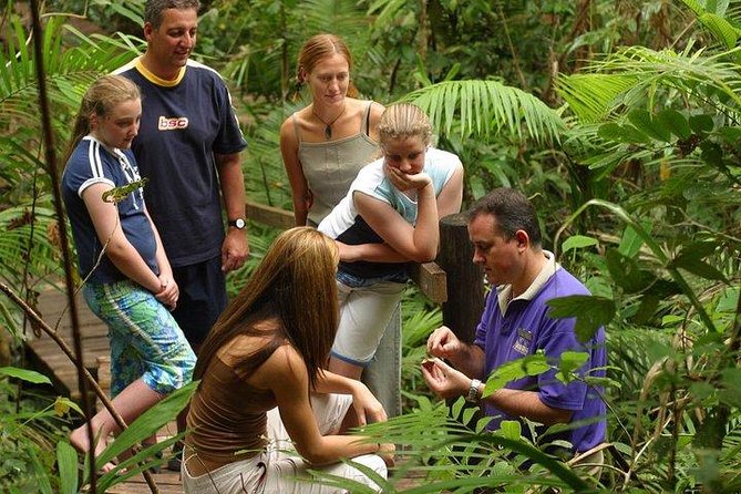 Daintree Discovery Centre Family Pass Ticket - Cassowary circuit walks and audio tours in 8 languages