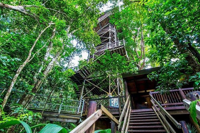 Daintree Discovery Centre Family Pass Ticket - Price and value: what you’re paying for at $71.72 per person