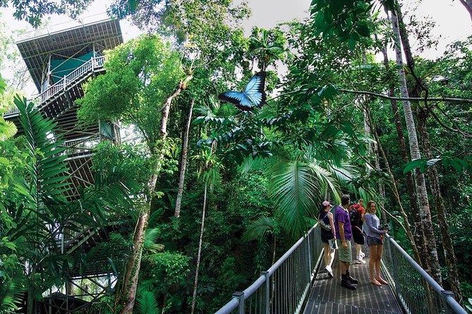 Daintree Discovery Centre Family Pass Ticket - Canopy Tower and aerial walkway: the easiest big win
