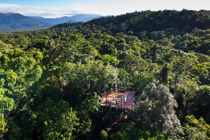 Daintree Discovery Centre Single Pass - Where the experience fits in: Daintree Discovery Centre near the ferry