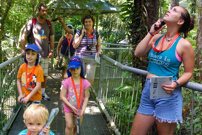 Daintree Discovery Centre Single Pass - The Canopy Tower: why it’s the moment people remember