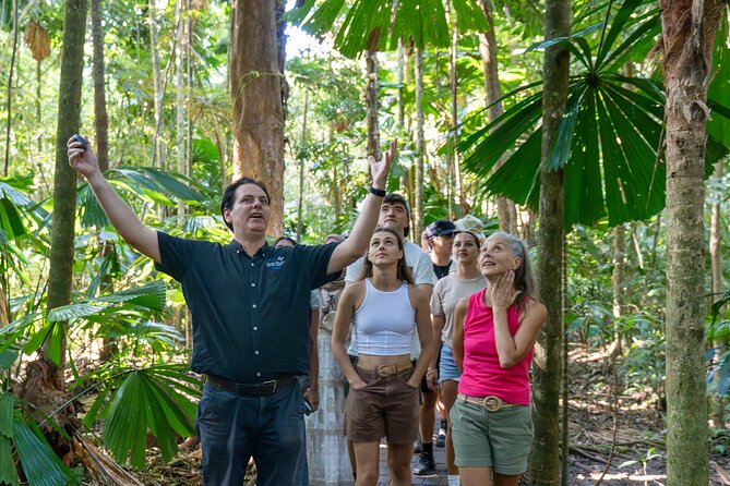 Daintree, Mossman Gorge and Wildlife Tour from Cairns - Key highlights to know before you go