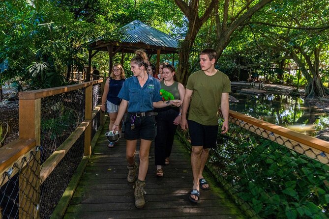 Daintree, Mossman Gorge and Wildlife Tour from Cairns - Daintree Rainforest walking: what the guide adds to your sighting chances