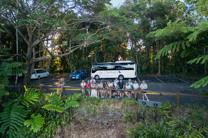 Daintree, Mossman Gorge and Wildlife Tour from Cairns - Price and value: what you’re really paying for at $193.66