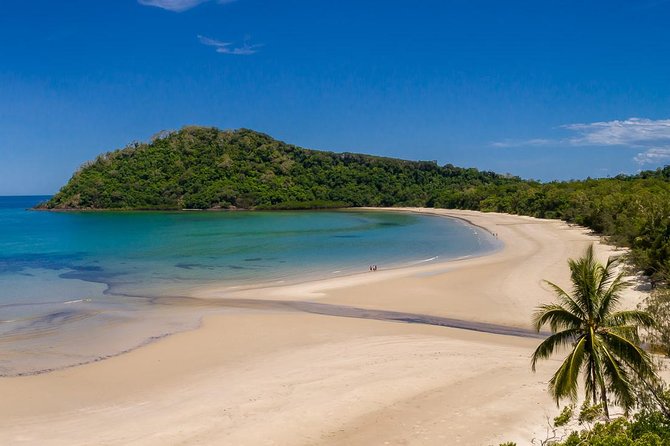 Daintree Rainforest and Cape Tribulation Day Tour from Cairns - Daintree River cruise: your best shot at crocs along the banks