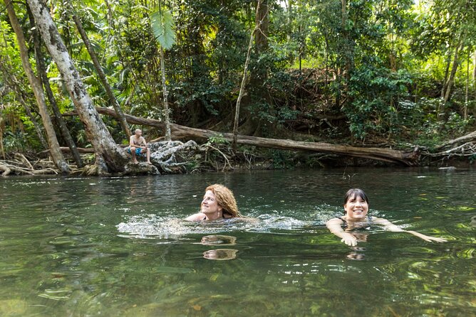 Daintree Rainforest and Cape Tribulation Full Day Tour - 7:00am pickup to Billy Tea Safaris: the day starts strong