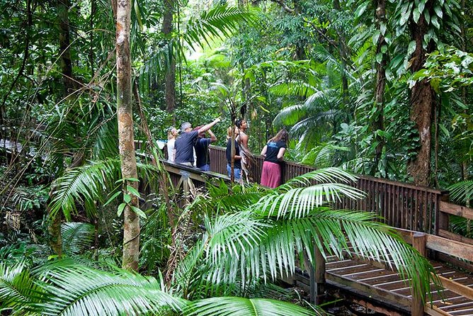 Daintree Rainforest and Mossman Gorge: Full Day Tour - Key reasons this tour works