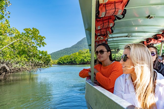 Daintree Rainforest and Mossman Gorge: Full Day Tour - Cape Tribulation mangrove discovery: the crocodile search section