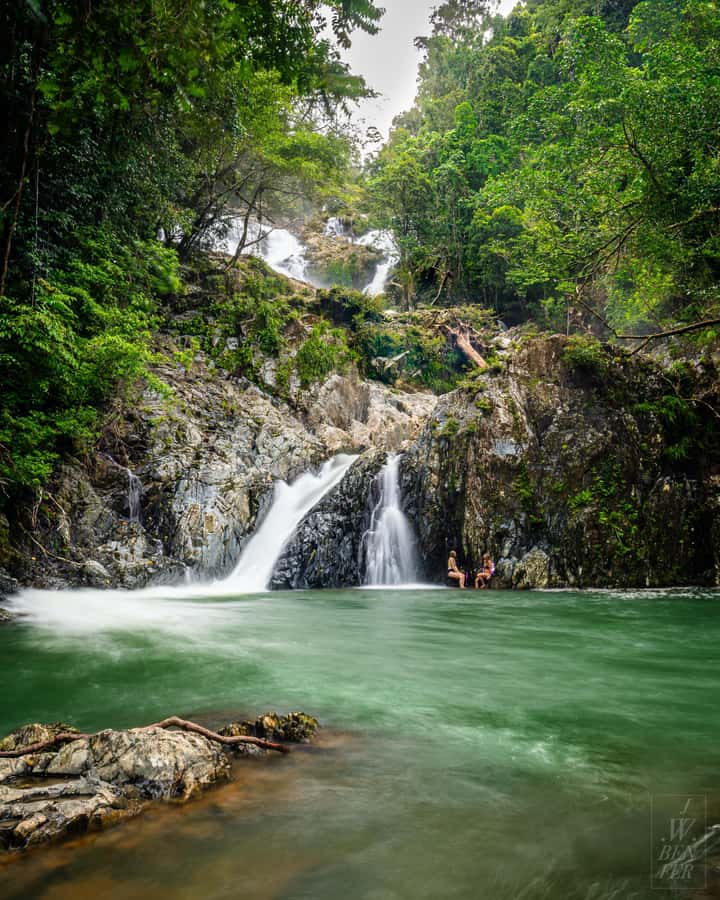 Daintree Rainforest: Magic Waterfall Walk with Lunch & Swim - Who should book this tour, and who should skip it