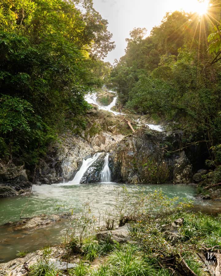 Daintree Rainforest: Waterfall Walk, Swim & Crocodile Cruise - Tropical fruit tasting: small stop, smart payoff