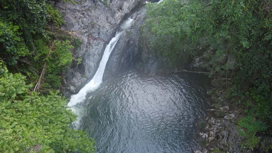 Daintree Rainforest: Waterfall Walk, Swim & Crocodile Cruise - Waterfall swim: optional, planned, and worth packing for
