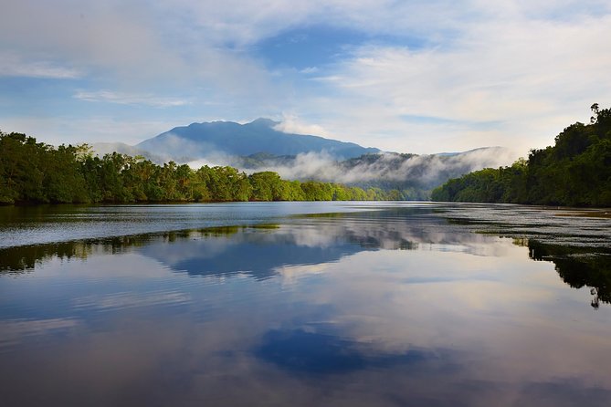 Daintree River 'Dawn' Cruise with the Daintree Boatman - What the Small-Group Feel Changes (In a Good Way)