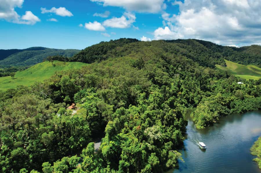 Daintree: River Rainforest Crocodile & Wildlife Cruise (DV) - Upper vs Lower Daintree: why two 1-hour cruises matter