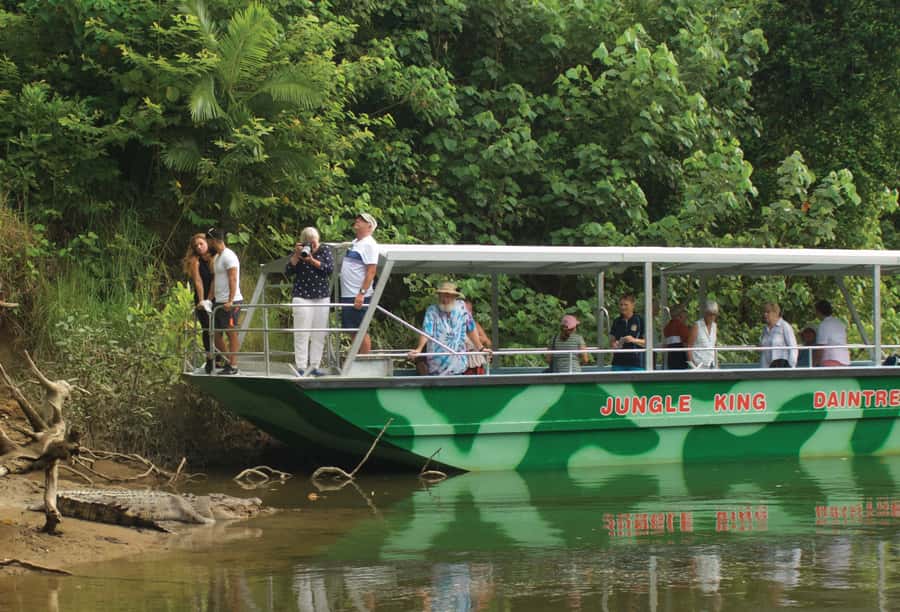 Daintree: River Rainforest Crocodile & Wildlife Cruise (DV) - Price and logistics: how to get real value from your ticket