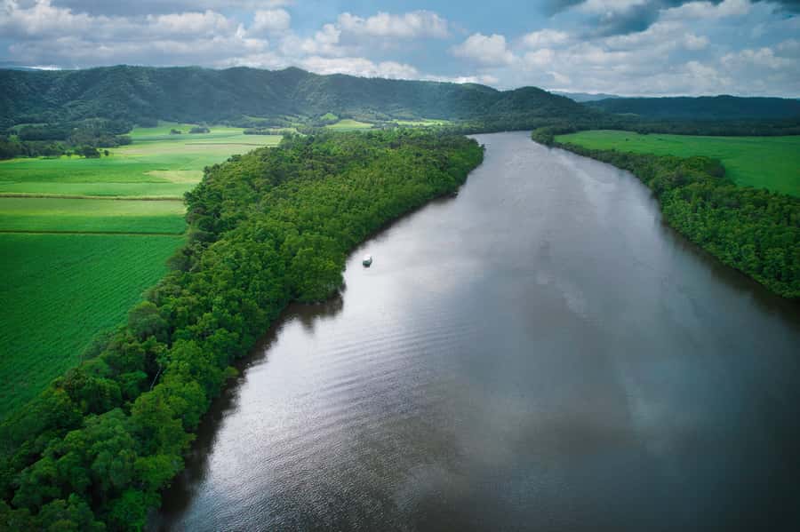 Daintree River Rainforest: Crocodile & Wildlife Cruises (DG) - Why this Daintree River cruise feels different from a basic sightseeing trip
