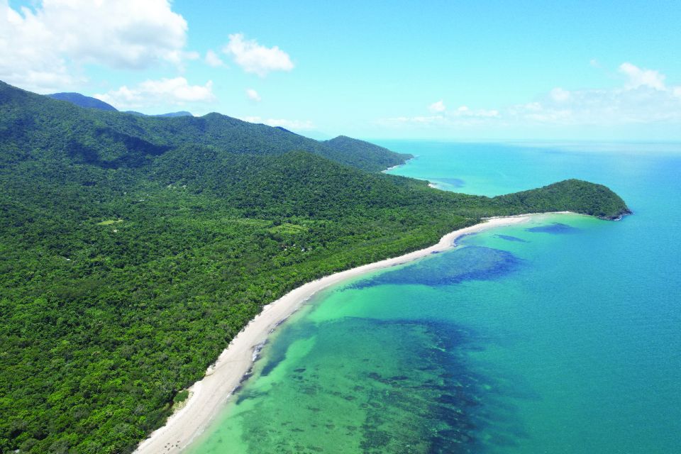 Daintree River Rainforest: Crocodile & Wildlife Cruises (DG) - Wildlife odds: what you may see (and what the guide actually improves)