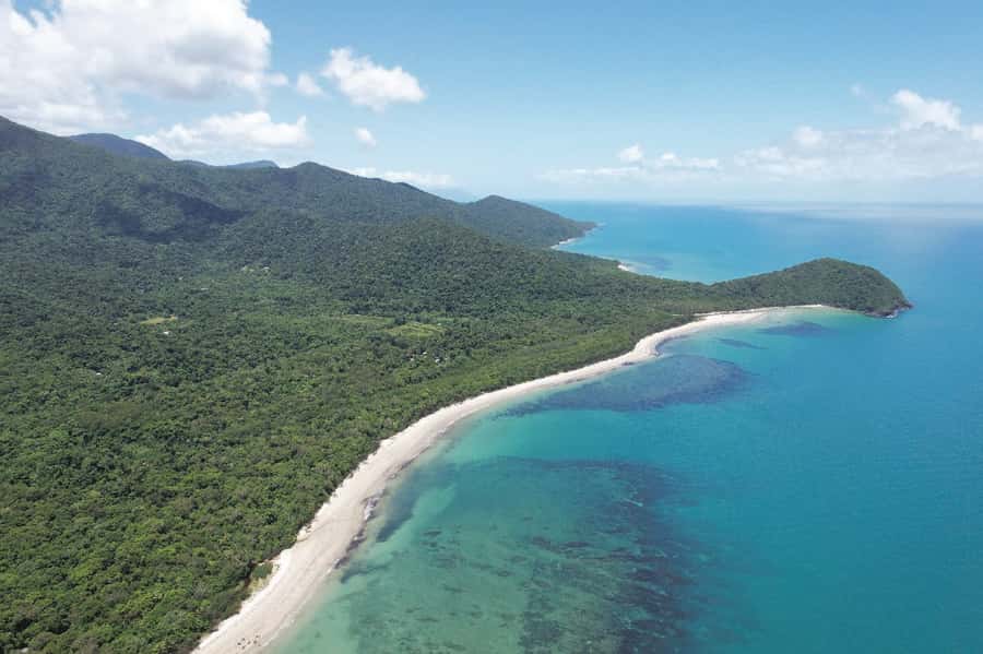Daintree River Rainforest: Crocodile & Wildlife Cruises (DG) - Price and value: what $27 per person buys you