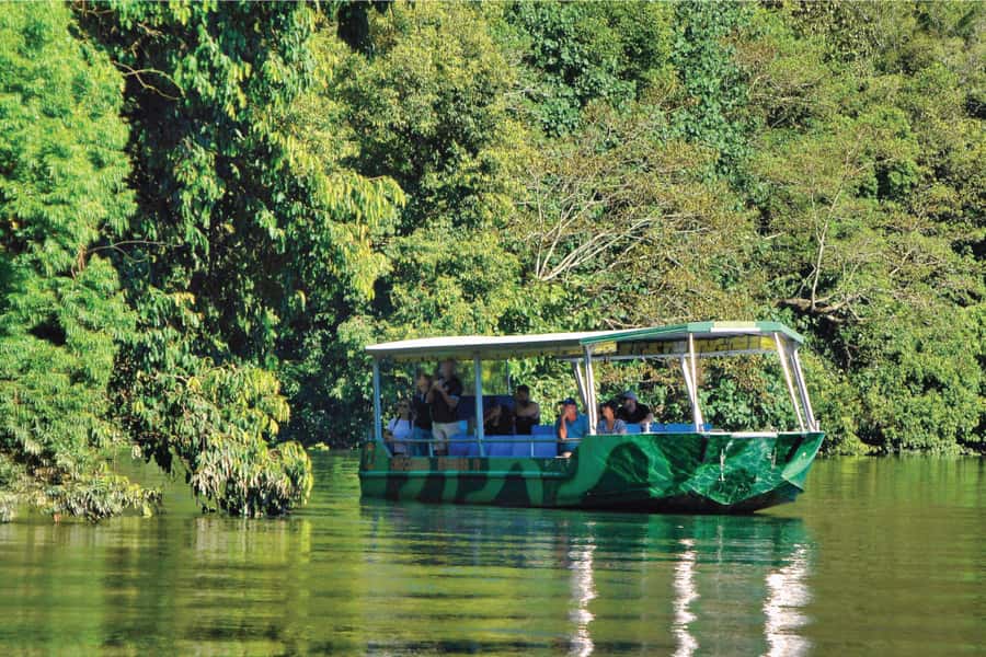 Daintree River Rainforest: Crocodile & Wildlife Cruises (DG) - Where you start: check-in at Crocodile Express (315 Cape Tribulation Rd)