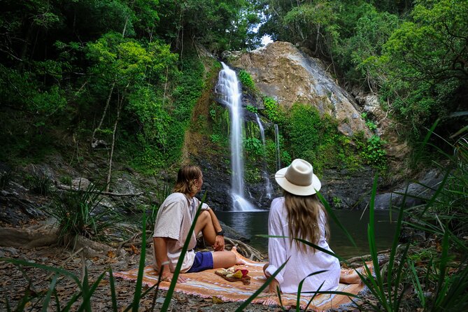 Daintree Sensations - Key Highlights You’ll Actually Feel During the Day