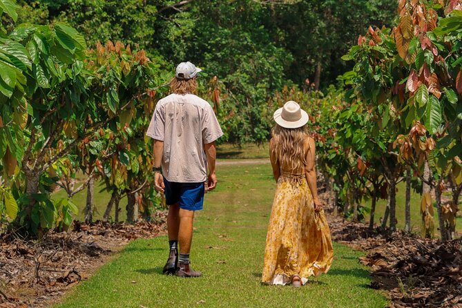 Daintree Sensations - Australian Chocolate Farm: Bean-to-Bar in 90 Minutes