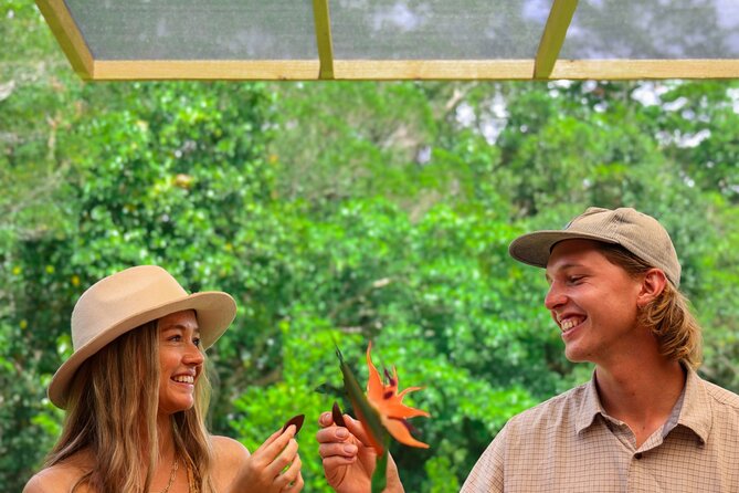 Daintree Sensations - Scomazzon’s Farm Store: Hand Harvested Fruit Tastings