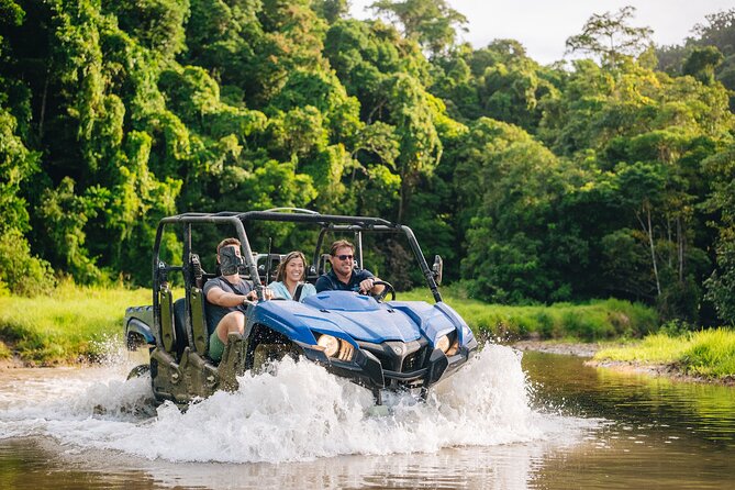 Daintree Waters Tour - Key things to know before you book