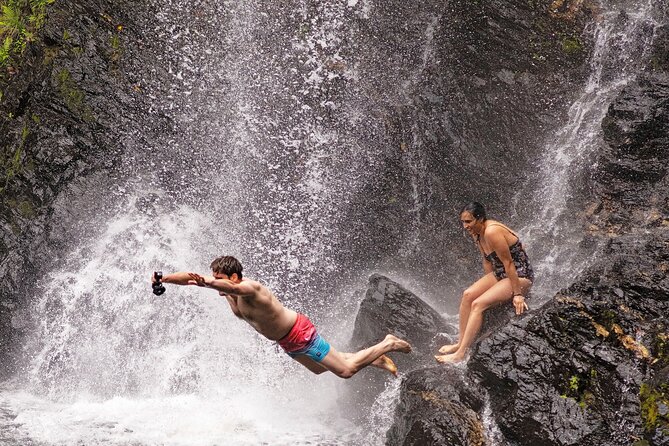Daintree Waters Tour - The 6 hours 30 minutes rhythm (and how not to waste it)