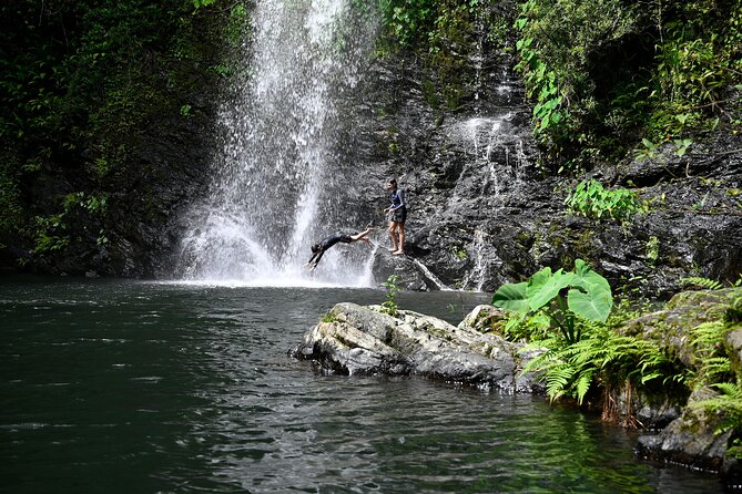Daintree Waters Tour - Price and value: is $175.72 per person fair?