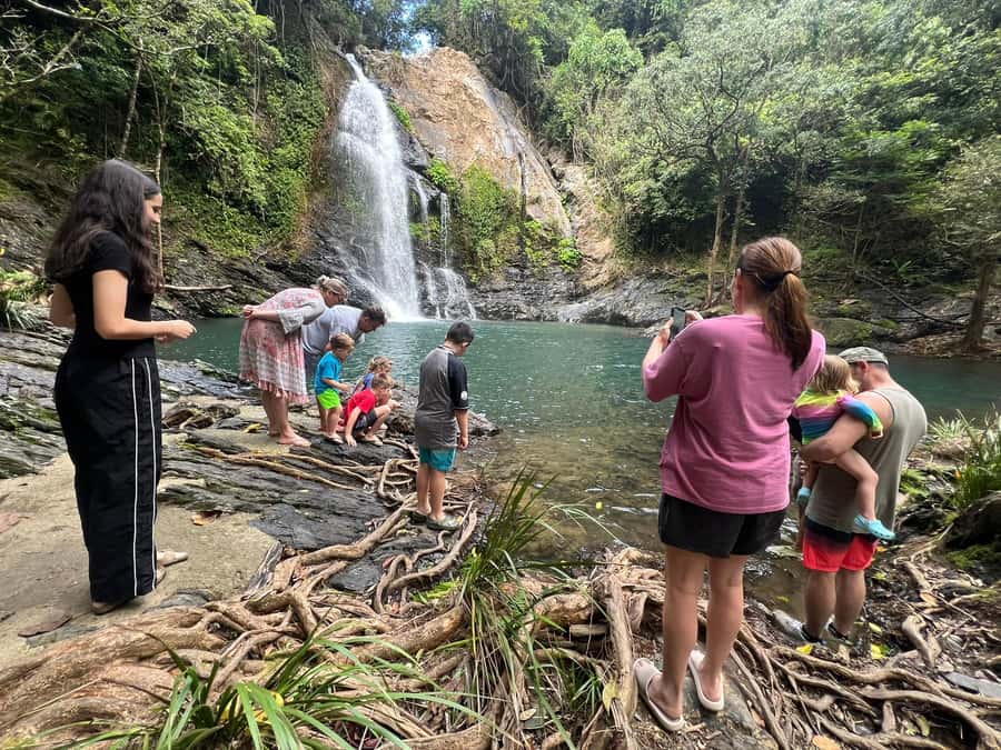 Daintree waters tour, all terrain vehicles and light lunch. - Why This Daintree Waters Tour Feels Different Than a Usual Day Trip