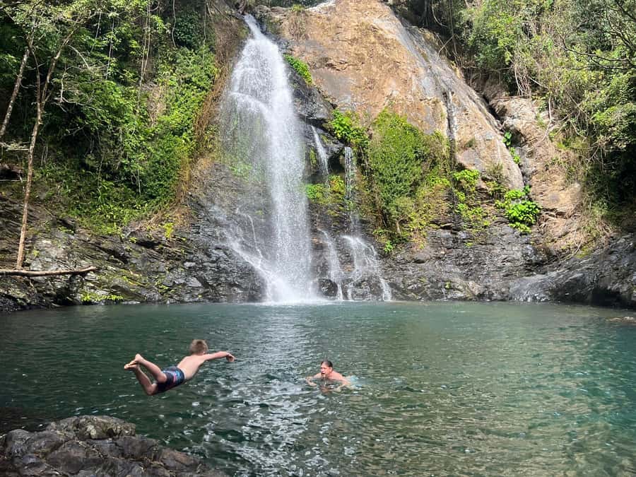 Daintree waters tour, all terrain vehicles and light lunch. - ATV Ride Through the Daintree: The Main Event (and the One You’ll Talk About)