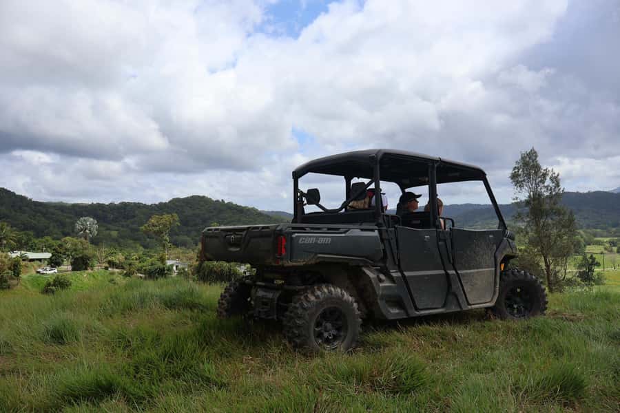 Daintree waters tour, all terrain vehicles and light lunch. - The Army Truck Ride: A Different Lens on Ancient Forest Life
