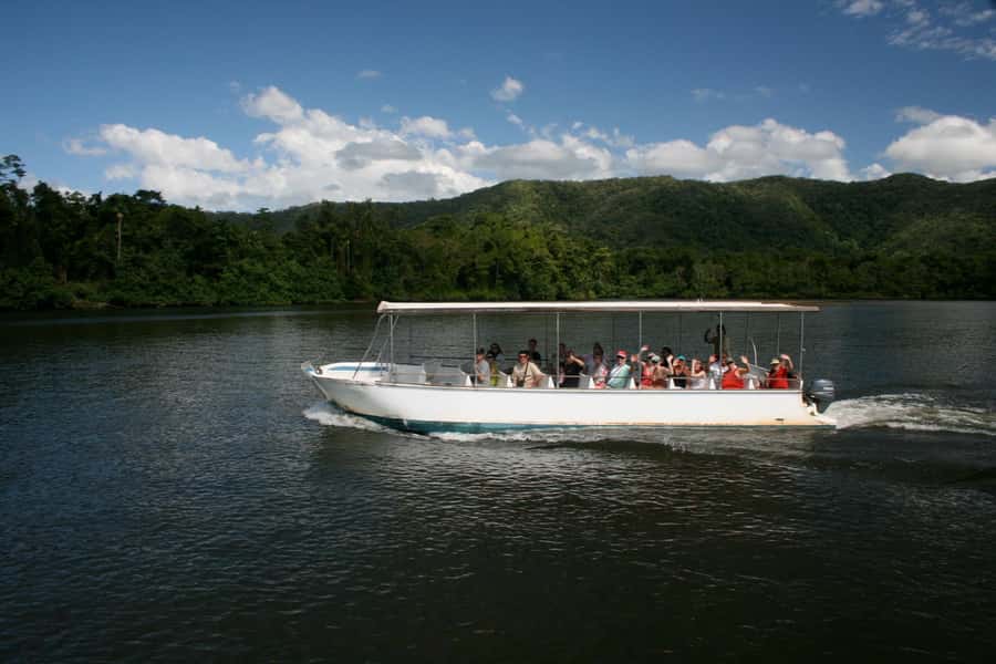 Daintree waters tour, all terrain vehicles and light lunch. - Cassowary Falls: Swimming the Daintree Valley’s Freshwater