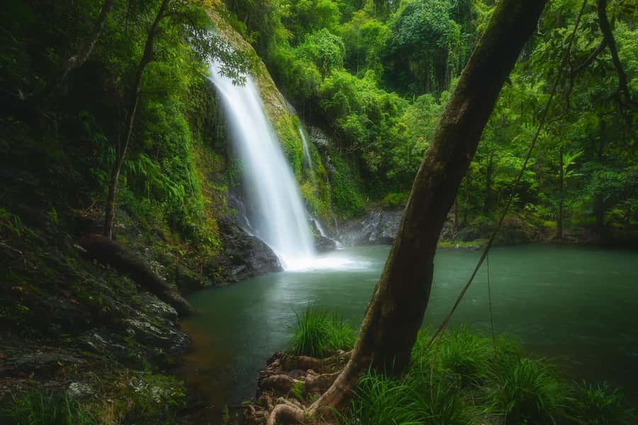 Daintree waters tour, all terrain vehicles and light lunch. - Daintree Village Light Lunch: A Simple Reset Between Activities
