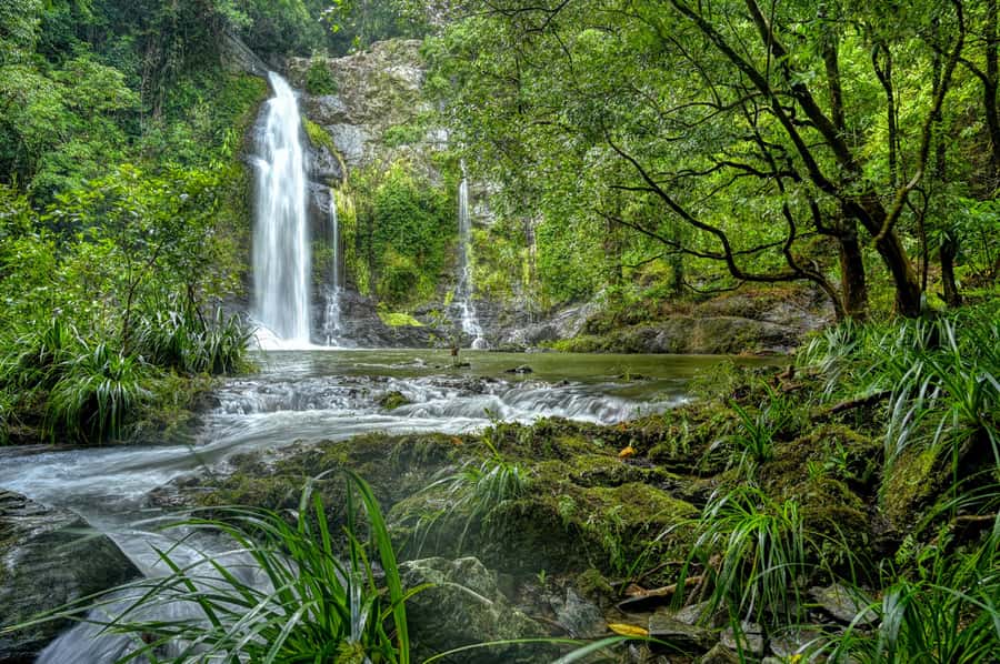 Daintree waters tour, all terrain vehicles and light lunch. - How the Day Gets Moving from Port Douglas (and Why It Matters)