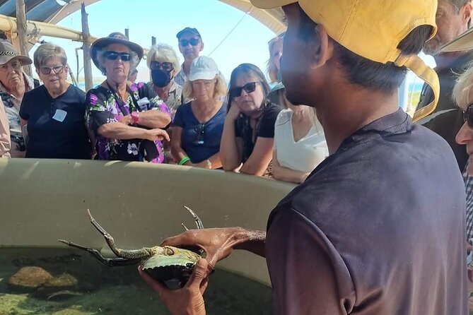 Dampier Peninsula & Aboriginal Communities from Broome (Optional Scenic Flight) - The optional scenic flight: seeing the coastline without more bus time