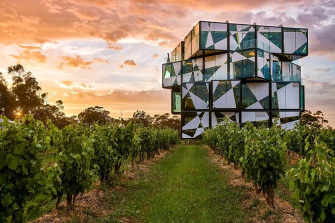 d'Arenberg Cube / McLaren Vale Regional Tour - Key highlights worth planning for