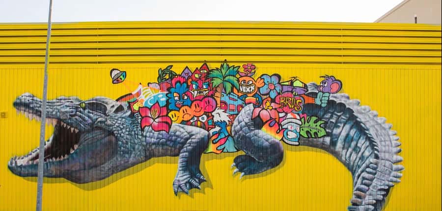 Darwin: 3-Hour Outback Gourmet Food & Art Tour - Practical tips: clothes, shoes, and the rain plan