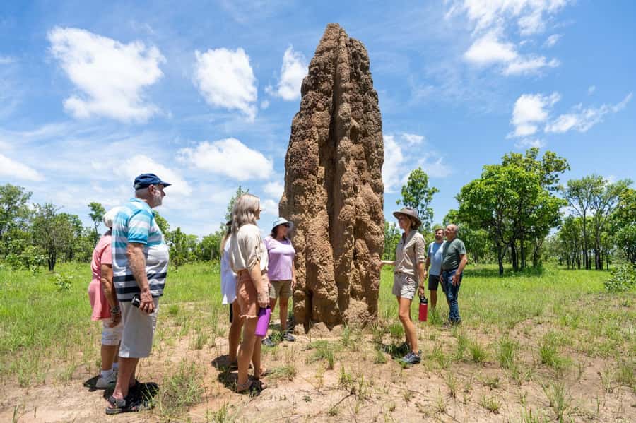 Darwin: 5-Day 4WD Kakadu Litchfield Tour & Billabong Cruise - Key highlights to know before you go