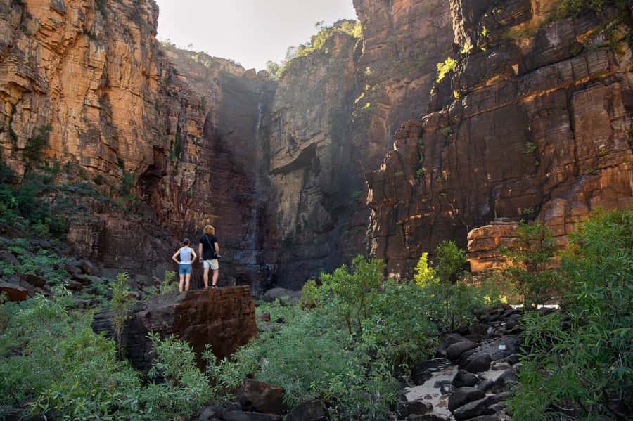 Darwin: 5-Day 4WD Kakadu Litchfield Tour & Billabong Cruise - Campsites and meals: safari-style comfort with the real outback feel