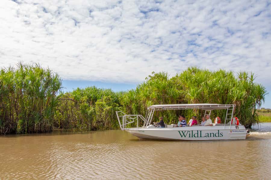 Darwin: Adelaide River Half-Day Jumping Crocs Cruise - The best way to get good results from the day