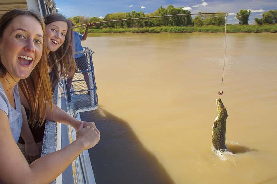 Darwin: Adelaide River Half-Day Jumping Crocs Cruise - Croc-leaping viewing: what to expect up close