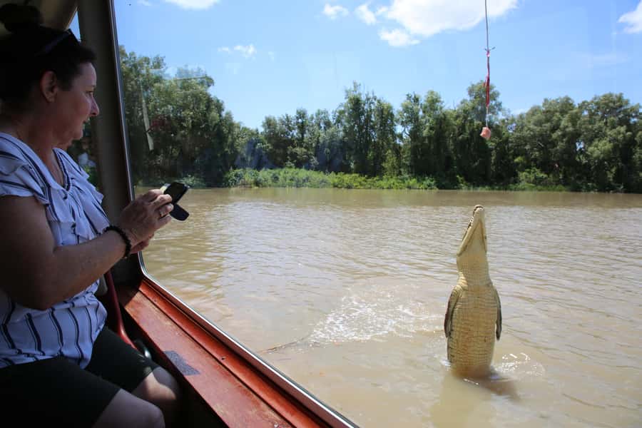 Darwin: Adelaide River Queen Original Jumping Crocodiles - Key Things to Know Before You Go
